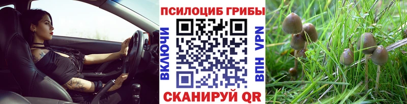 Галлюциногенные грибы мухоморы  OMG ССЫЛКА  Кинешма 